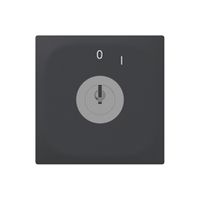 Pulsante rotativo INC SIDUS E 1CL SS antracite