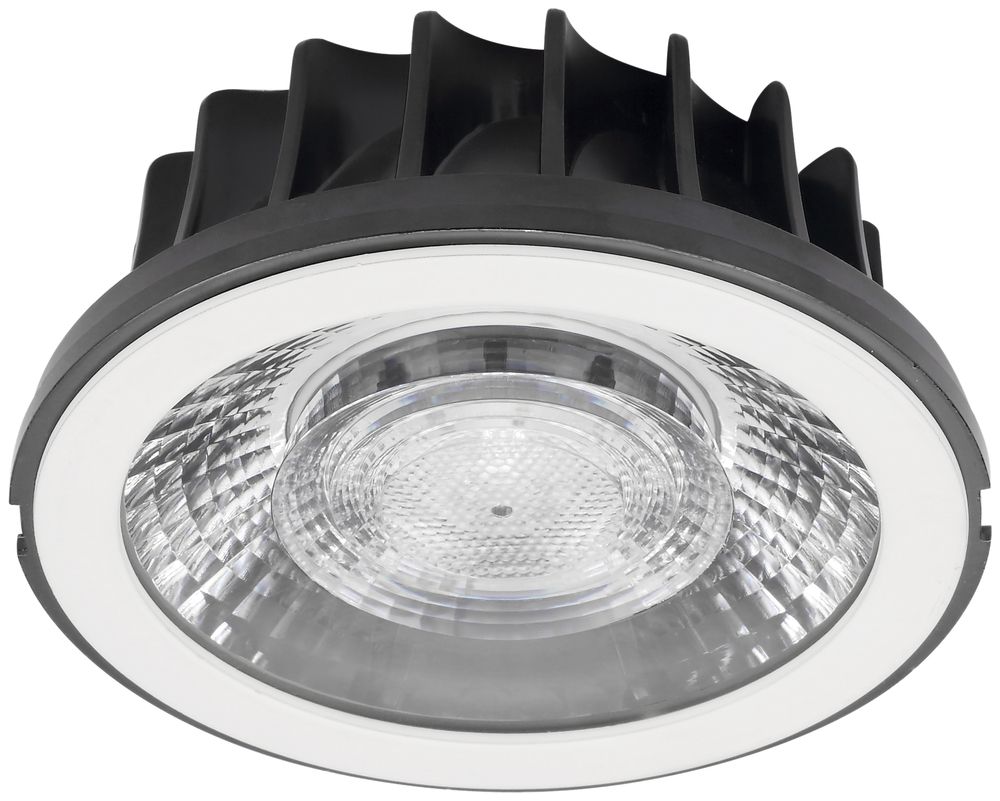 Module LED INC pour LUDOSPOT 111, 230V 24W 2225lm 4000K 38° blanc