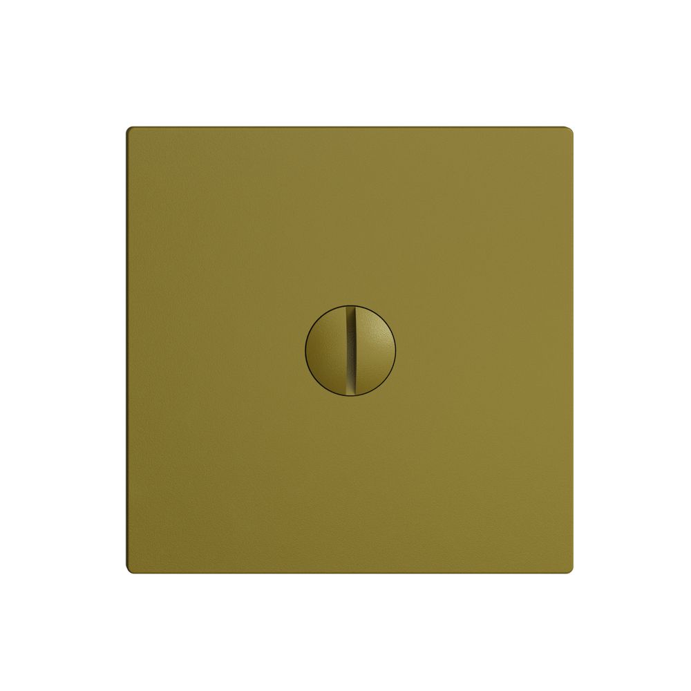 Blindabdeckung EDIZIOdue olive