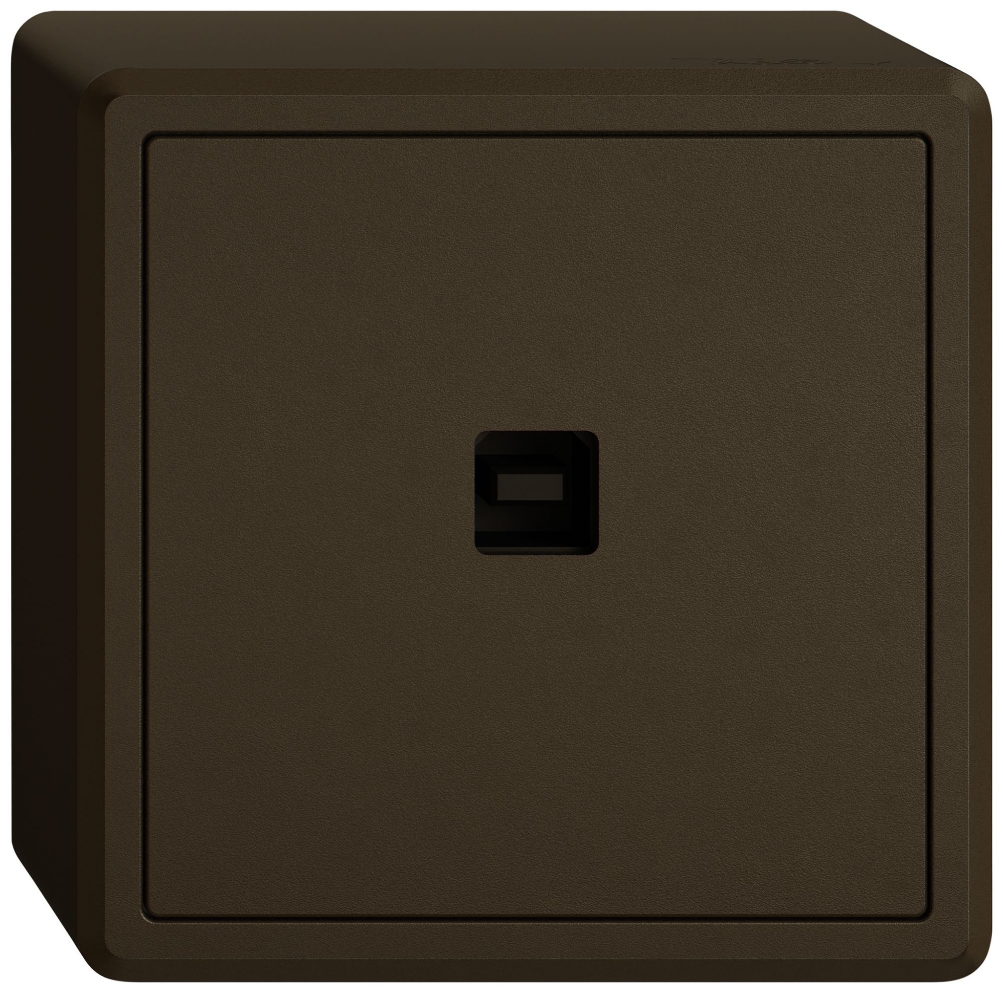 Interfaccia dati USB KNX AP EDIZIO.liv SNAPFIX® presa USB tipo B ma