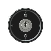Schlüsselschalter origin Serienschalter 1/1L 16A 250V 0-1-2-1+2 60×60mm schwarz