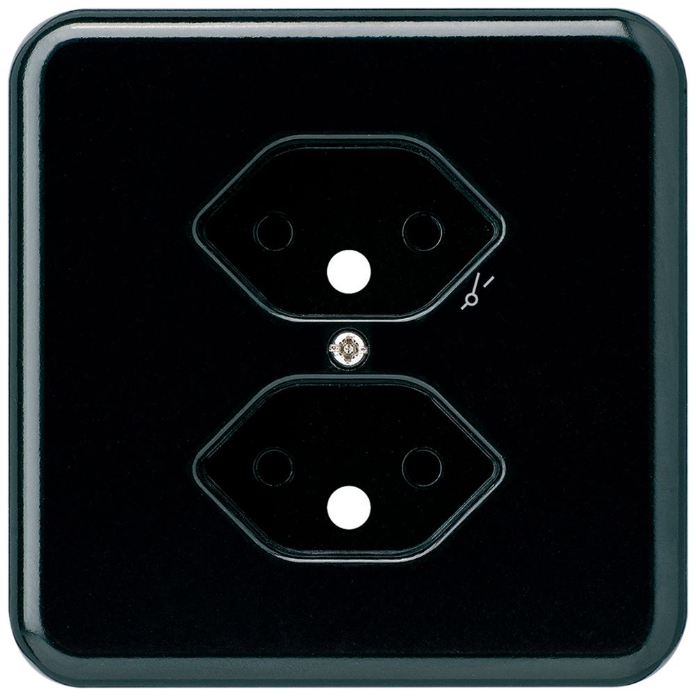 Abdeckplatte basico 2×Typ 13/1 schwarz mit Kinderschutz