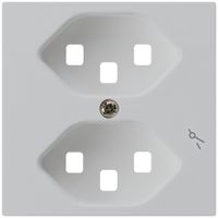 Frontplatte zu Steckdose Hager kallysto 2×T23 1×S H lichtgrau