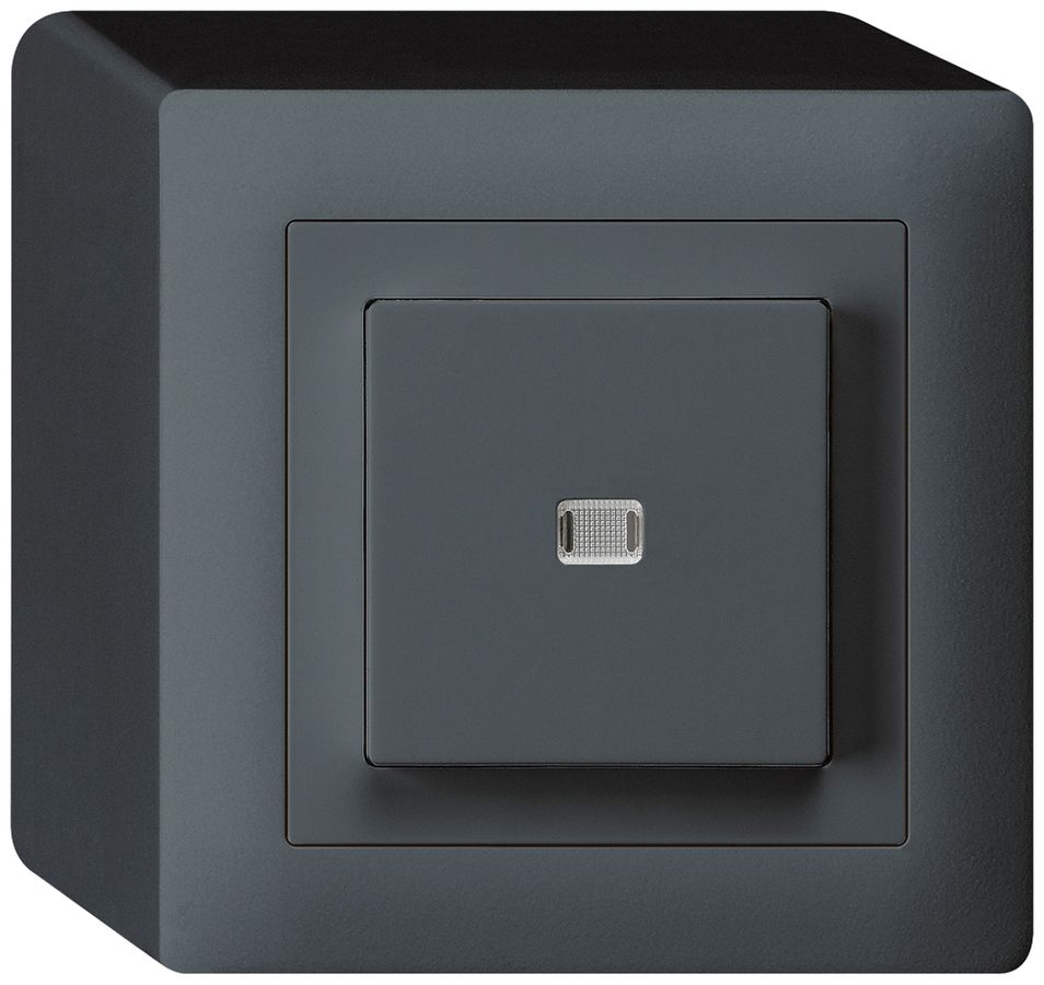 AP-Leuchtdruckschalter kallysto 6/1L anthrazit