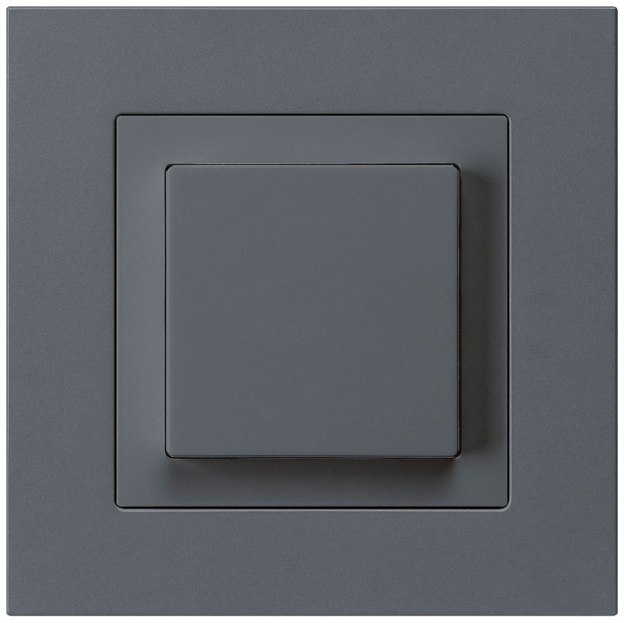 UP-Taster kallysto.pro AR anthrazit