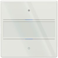 Senseur poussoir ENC Theben LUXORliving iON2 G LED a.champ d'inscription blanc