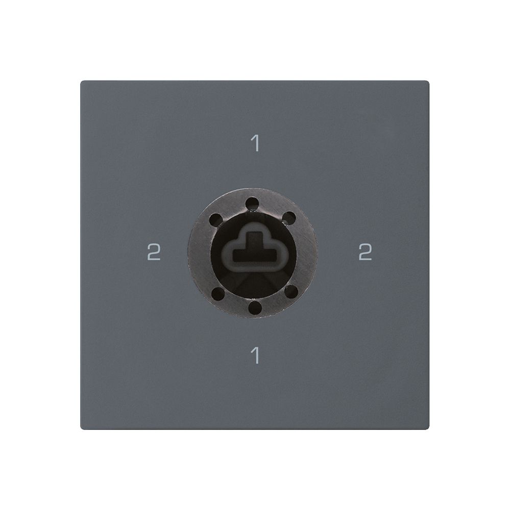 Intérieur interrupteur à clé kallysto 3/1L anthracite serrure sûreté s.cylindre