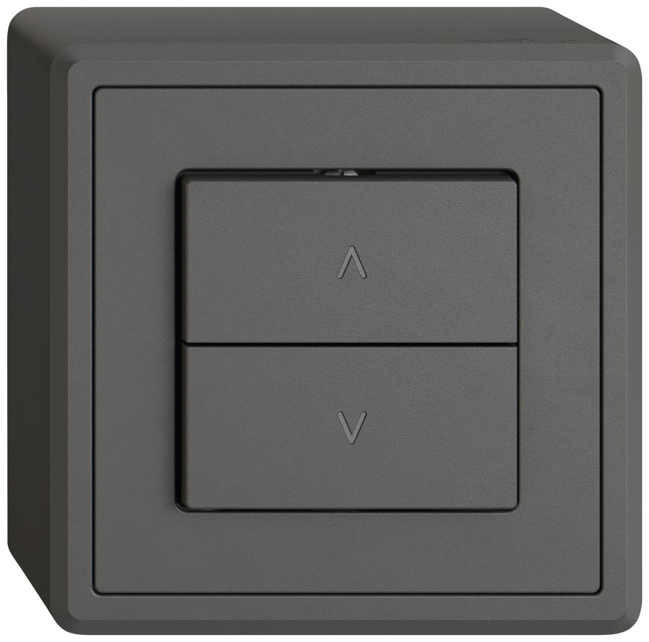 Interruttore p.tapparelle AP EDIZIO.liv SNAPFIX® 10A 250V 2 tasto 1 canale grs