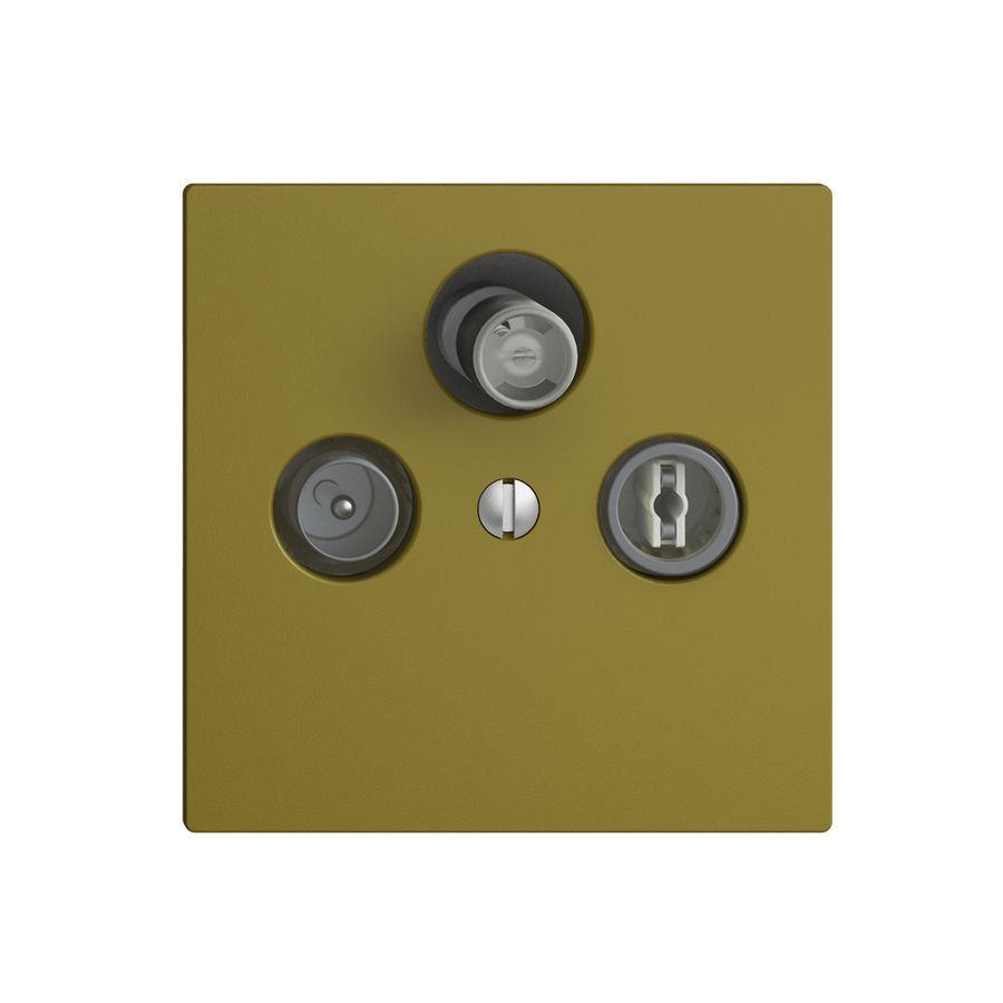 Prise d'antenne SAT DB52 EDIZIOdue olive avec IEC/F