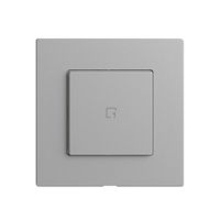 Szenentaster 1 Szene/1T Edue Wiser silver