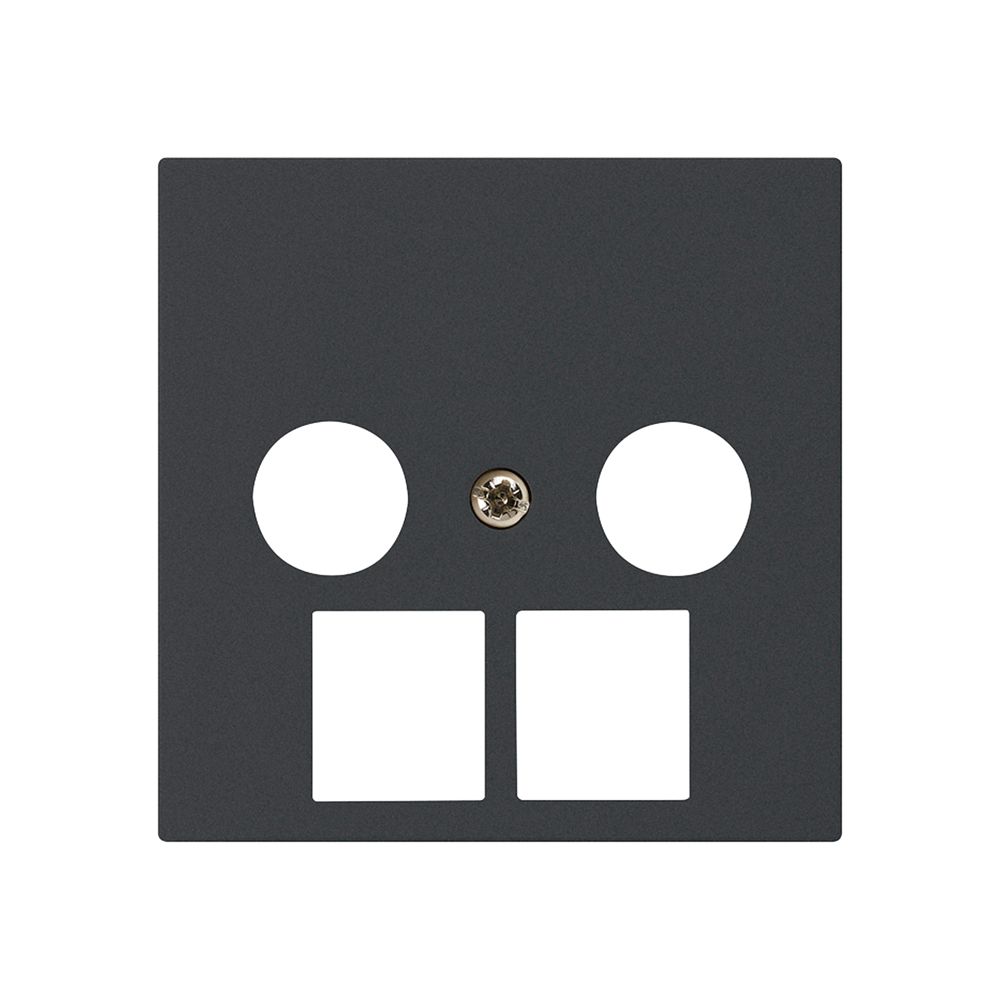 Frontplatte kallysto 2×koaxial/2×RJ45 schwarz