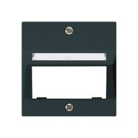 Frontplatte kallysto für Multimedia-Modul Schrägauslass Duroplast schwarz