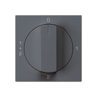 Einsatz zu Drehschalter kallysto 1/1L anthrazit mit Drehgriff