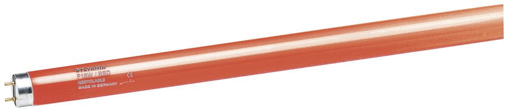 Lampada fluorescente F T8 G13 36W ros