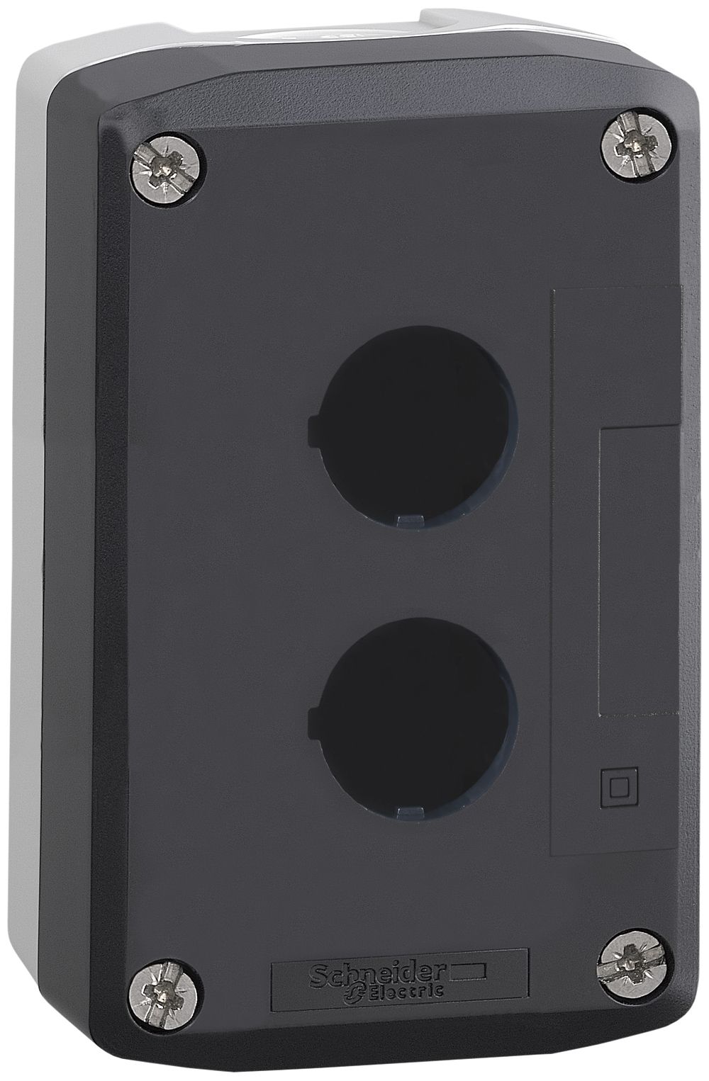 AP-Steuerkasten Schneider Electric 2 Elemente hellgrau