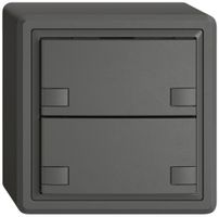 Pulsante universale AP EDIZIO.liv UNI SNAPFIX® s.LED 2× com.2T grs