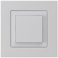 UP-Taster kallysto.pro AR hellgrau