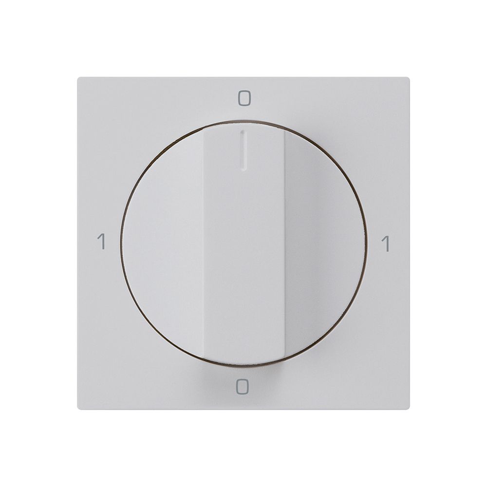 Einsatz zu Drehschalter kallysto 0/1L hellgrau mit Drehgriff