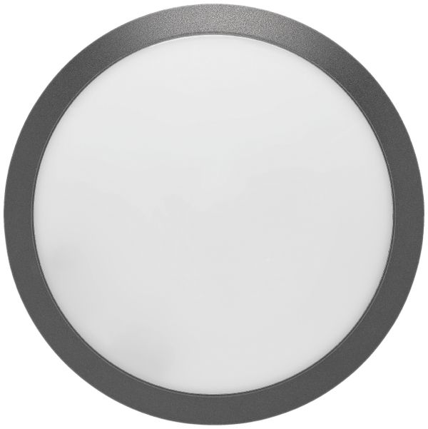 LED-Decken-Wandleuchte INFINI 1000lm 14W ON/OFF Ø300mm anthrazit