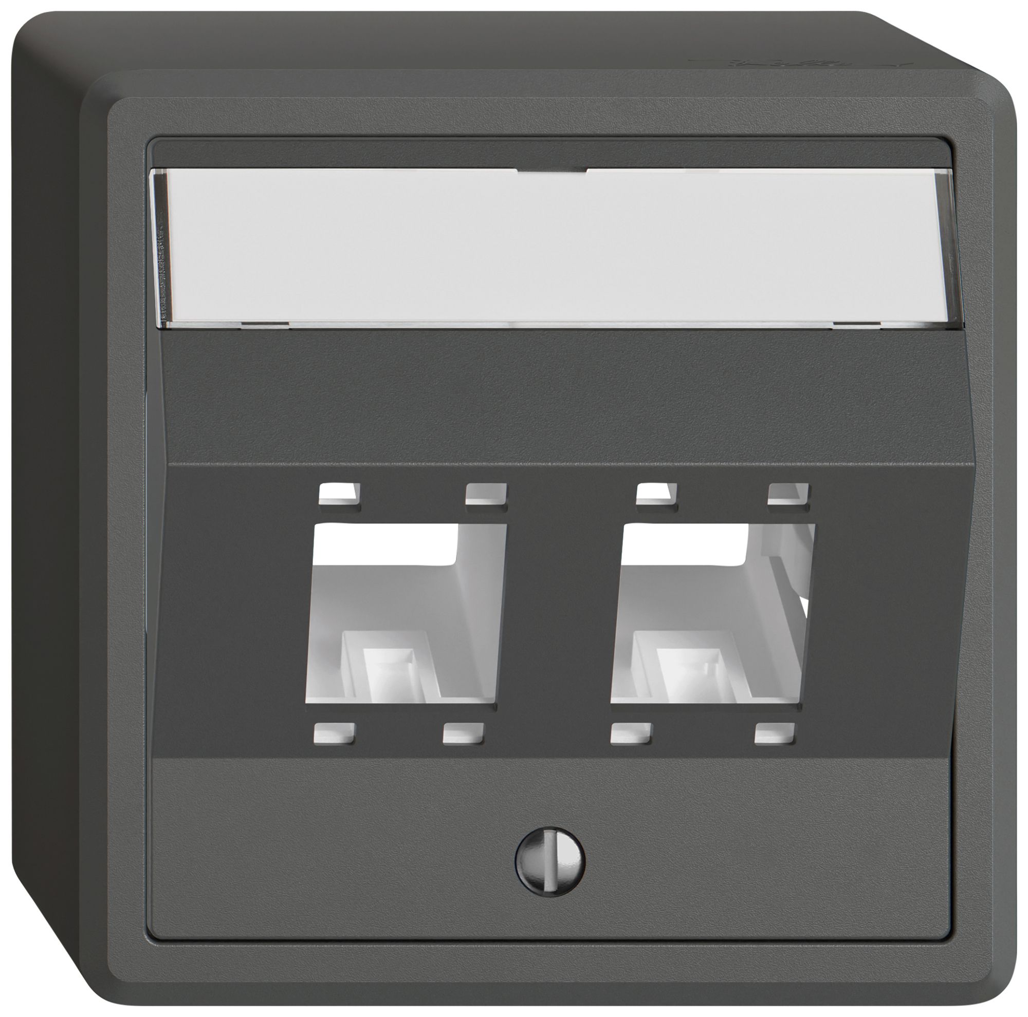 AP-Montageset EDIZIO.liv SNAPFIX® für freenet Kat.5e/6 Adapter 2× dgu