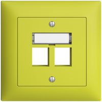 UP-Montageset EDIZIOdue FMI, Geradeauslass, für 2×Keystone, lemon