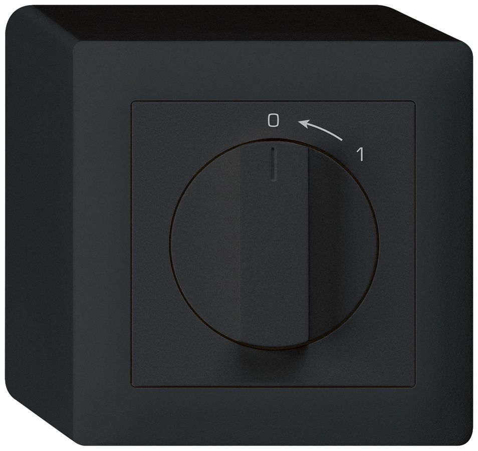 AP-Schwenktaster 0<-1/2L schwarz kallysto mit Drehgriff