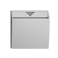 Einsatz zu Schalter Hotelcard 250VAC 1L EDIZIOdue hellgrau