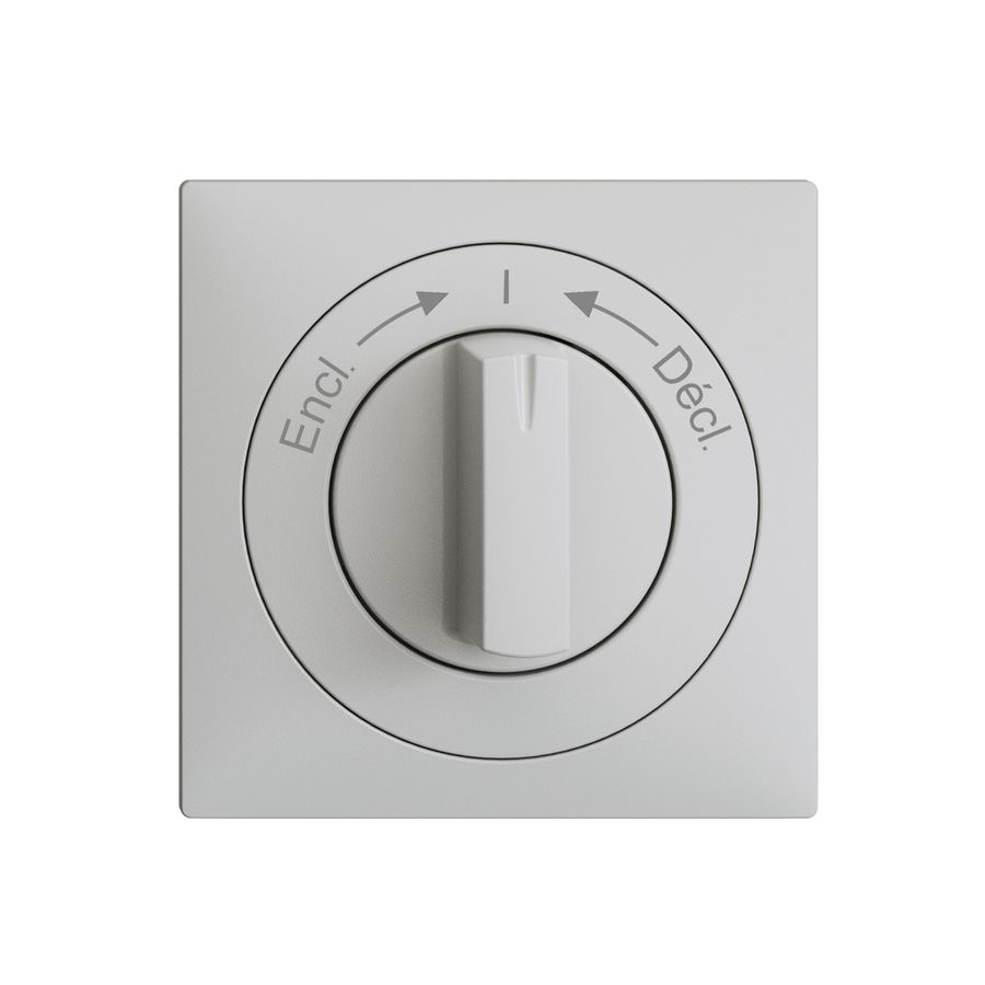 Frontset EDIZIOdue Encl.->I<-Décl. hellgrau 60×60mm für Schwenktaster