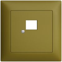 Kit frontal ENC EDIZIOdue olive 88×88mm 1×RJ45