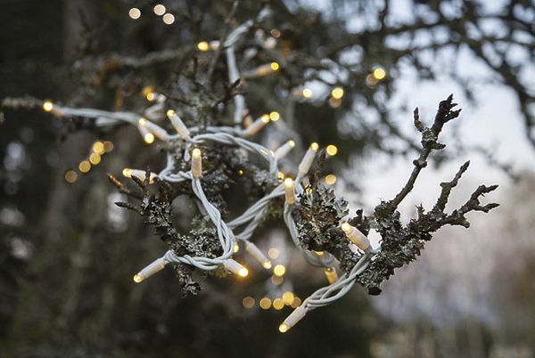 Lichterkette System LED Extra, 5m, weiss, 4W, 50 LED, warmweiss