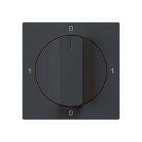 Einsatz zu Drehschalter kallysto 0/1L schwarz mit Drehgriff