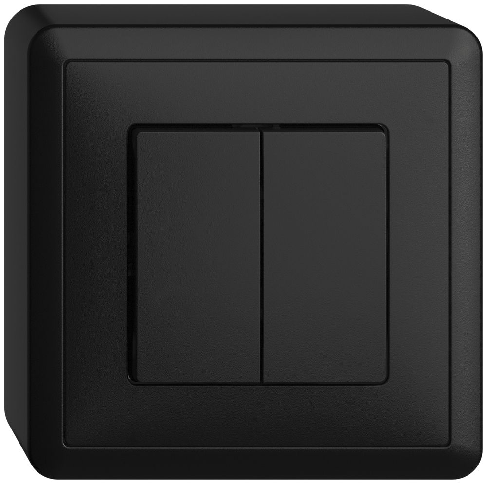 AP-Taster EDIZIOdue 2×A-R/1P schwarz