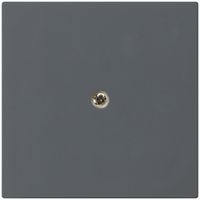 Placca frontale kallysto antracite per 60×60 per elemento di potenza