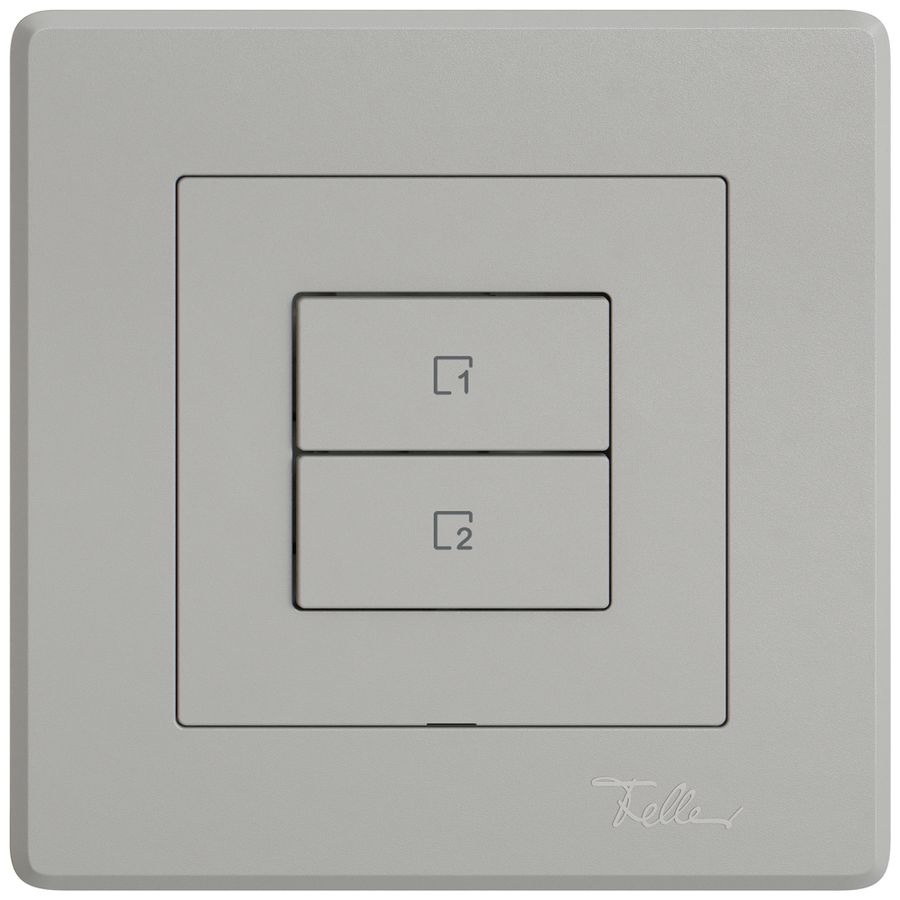 Poussoir scènes ENC EDIZIO.liv Wiser SNAPFIX® 2 scènes 2 touches WLAN grc