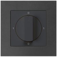 UP-Drehschalter kallysto.pro 0/1L schwarz mit Drehgriff