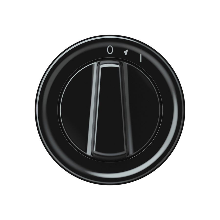 Schwenktaster origin 1P 0<1 1P 0<1 10A 230V 60×60mm schwarz