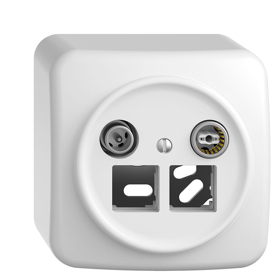 Prise multimédia AP Sdue QX.54 EASYNET 4dB, p.2×RJ45 S-One, blanc