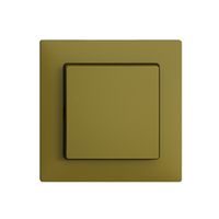 Frontset EDIZIOdue olive 60×60mm für Druckschalter