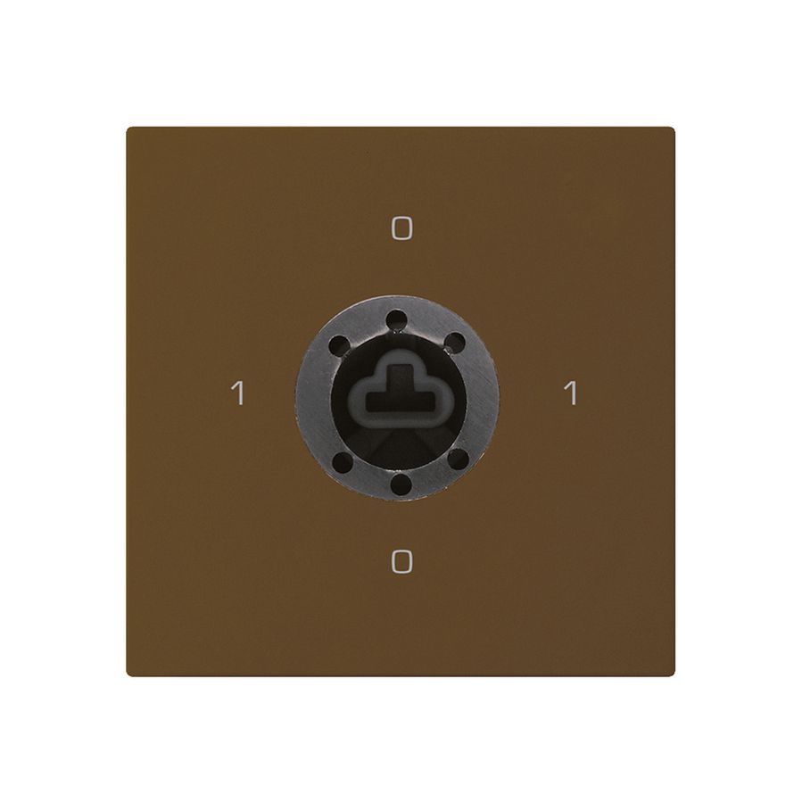 Intérieur interrupteur à clé kallysto 0/2L brun p.serrure de sûreté s.cylindre