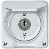 UP-Schlüsselschalter robusto Wechselschalter 16A 250V 86×86mm weiss