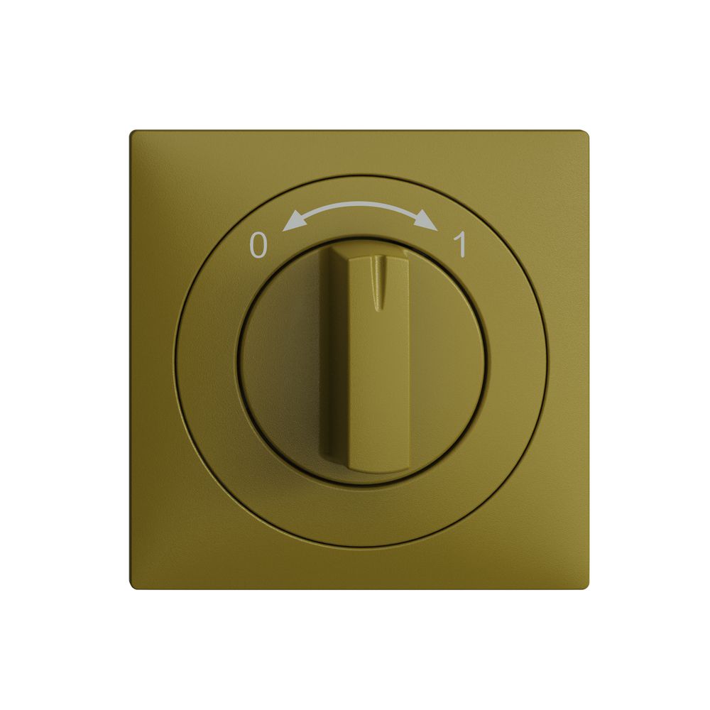 Frontset EDIZIOdue 0<->1 olive 60×60mm für Schwenktaster