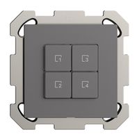 Pulsante scena INC 4 scene/4T Edue Wiser grigio scuro