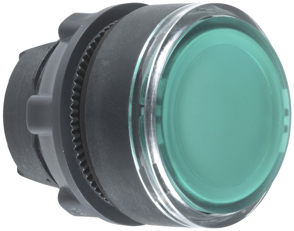 Taster Schneider Electric flach grün