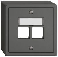 AP-Montageset EDIZIO.liv EASYNET S-One SNAPFIX® gerade 2×RJ45 dgu