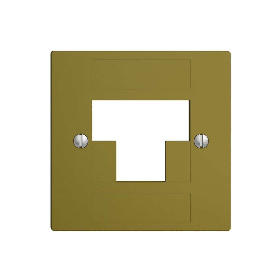 Frontplatte 2×RJ45 ITplus EDIZIOdue olive