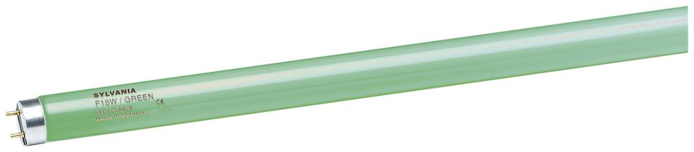 Lampada fluorescente F T8 G13 58W verde