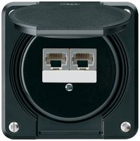UP-Anschlussdose robusto IP55 schwarz 2×RJ45/s parallel für Kombination