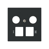 Plaque frontale kallysto pour R&M HWS noir 2 trous multimédia