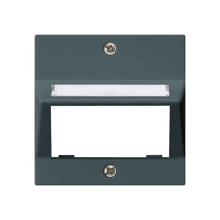 Plaque frontale kallysto pour module multimédia sortie oblique duroplast an