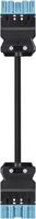 Câble de connexion Wieland GST18i5 PB 5×1.5mm² 250V 16A 1m bleu fiche-prise Cca